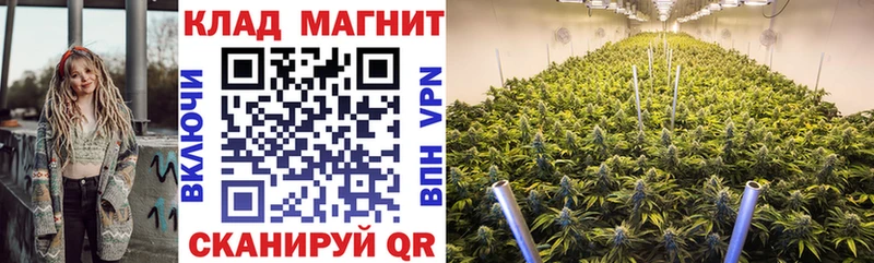 Наркотические вещества Славгород omg онион  Cocaine  СК  Меф  Конопля 