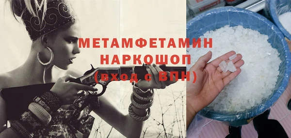 прущие грибы Приозерск